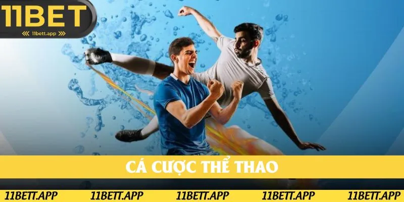 Cá cược thể thao cập nhật liên tục